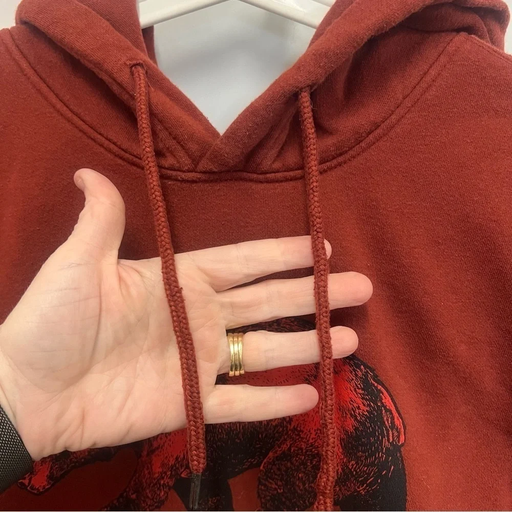 THE NORTH FACE Men's Large Red Bear Pullover Hoodie Sweatshirt TNF